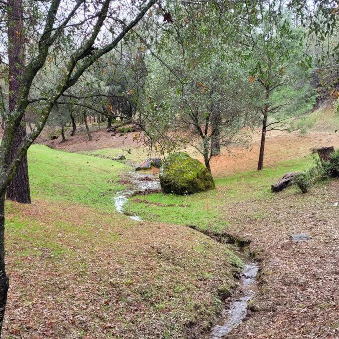 Home In Groveland Near Yosemite Np Ngoại thất bức ảnh